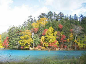 img459_599541542_58.jpg