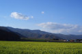 img40_file.jpg