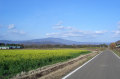img41_file.jpg